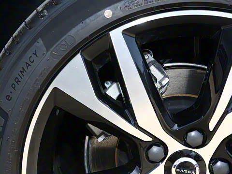 2026�� B4 ��Զ�˶���