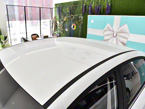 2025�� ��;��׼��