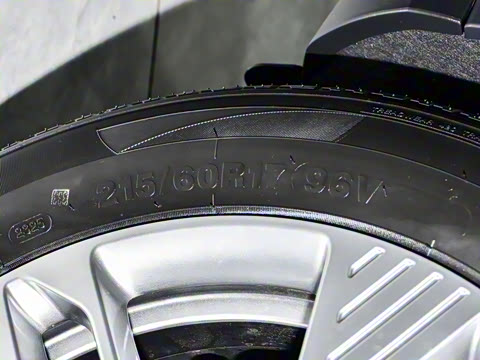 2025�� 445km ��ѡ��