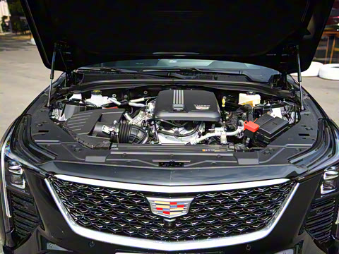 2025�� 28T �����˶���