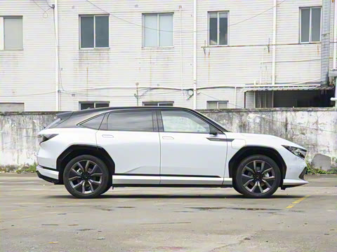 2025�� ����������Max