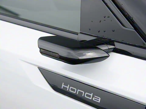 2025�� ����������Max