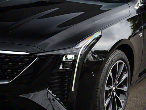 2025�� 28T �����˶���