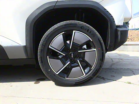 2025�� 501KM ����Max��