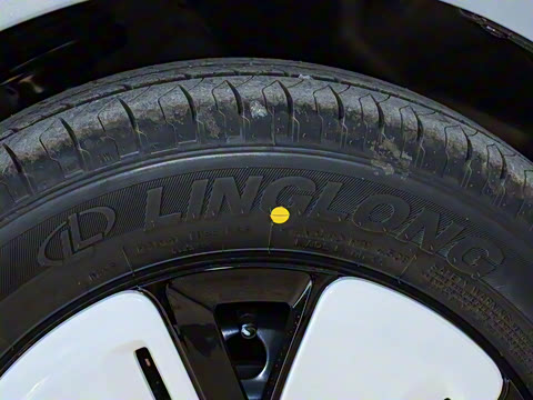 2025�� ���Ű� ���׿�