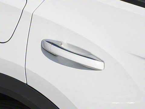 2025�� 300TSI DSG���������