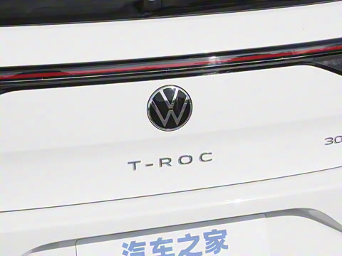 2025�� 300TSI DSG���������