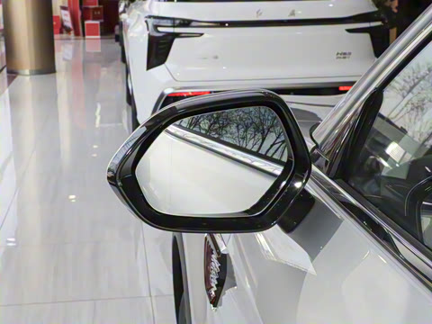 2025�� 2.0T ��������Pro��