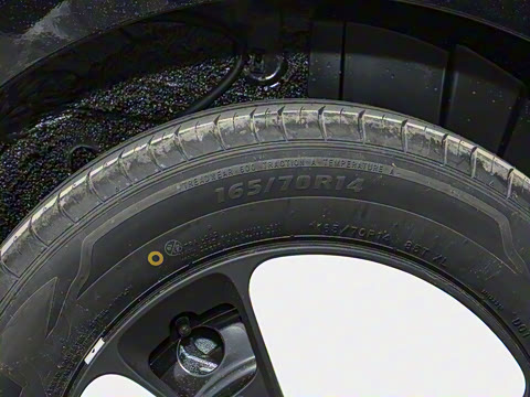 2025�� 301km �ȱ���