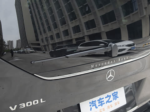 2024�� V 300 L ���������