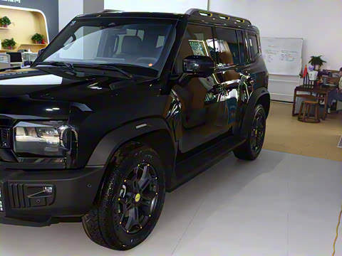 2025�� 2.0TD DCT XWD��Խ+