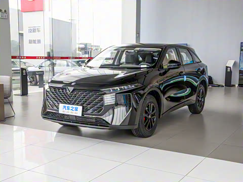 2026�� 260T ���ǰ� Pro