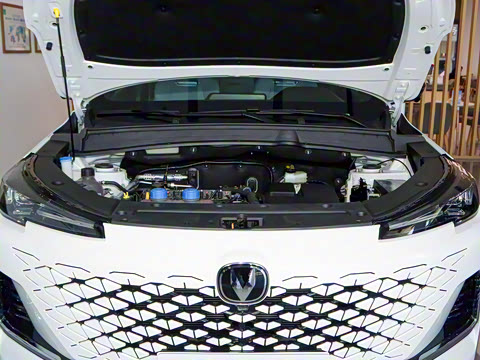 2025�� �ǻ������� 125km ս����