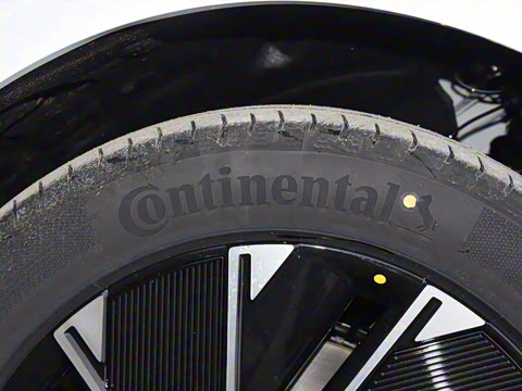 2024�� Max���������