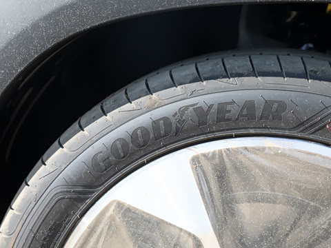 2025�� 3DHT 115km �ǽ���