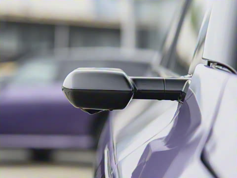 2025�� ����������Max