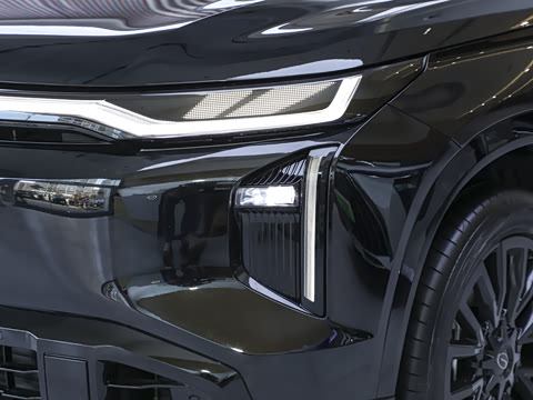 2025�� 205km Max��