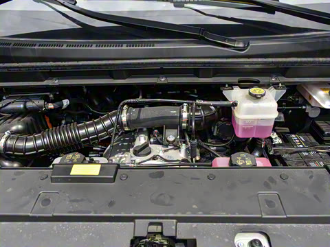 2025�� PLUS 2.0L ������ 9��