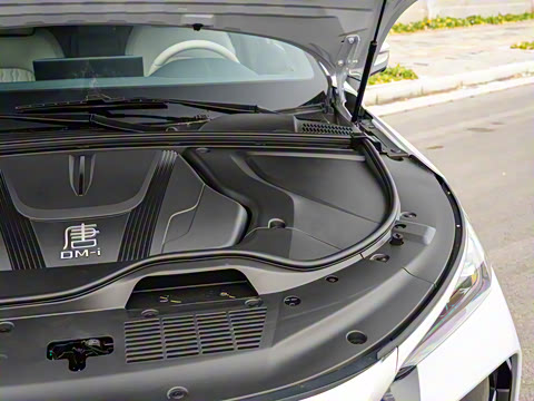 2025�� �Ǽݰ� DM-i 115KM ������