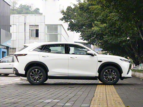 2025�� 1.5T ɽ�������� 7��