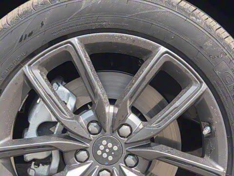 2025�� 165km ������������ 7��