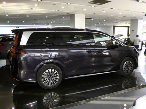 2025�� DM-i 1.5T 180km ��Խ��