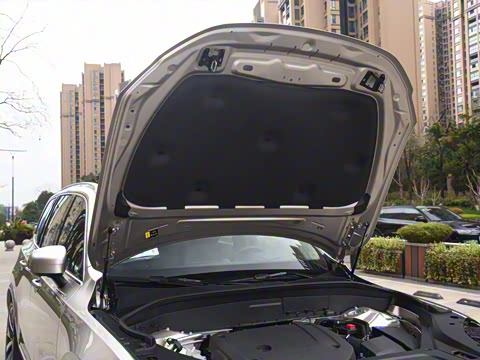 2025�� �Ŀ� B6 ���ź����� 6��