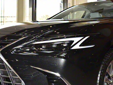 2025�� 300h ������