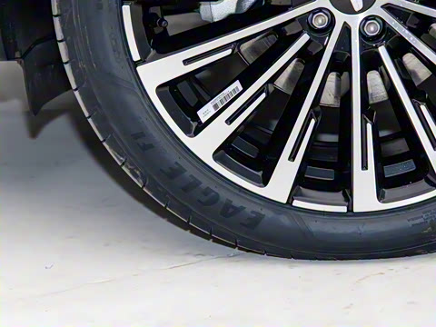 2025�� ������ 2.0TD �Զ��񳯰�