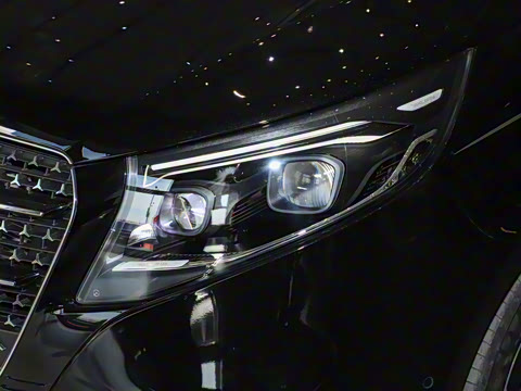 2025�� �������������