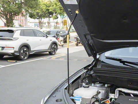 2025�� DM-i �Ǽݰ� 75KM������