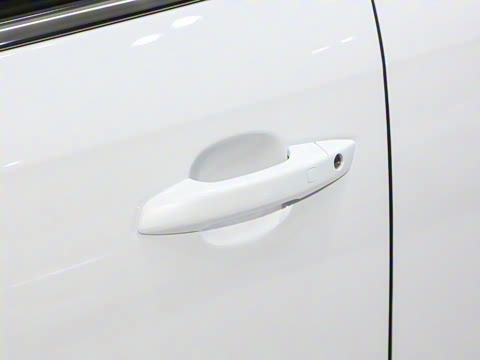 2024�� DM-i 55KM �캽��ҫ��