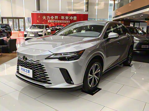 2025�� 300 ����������