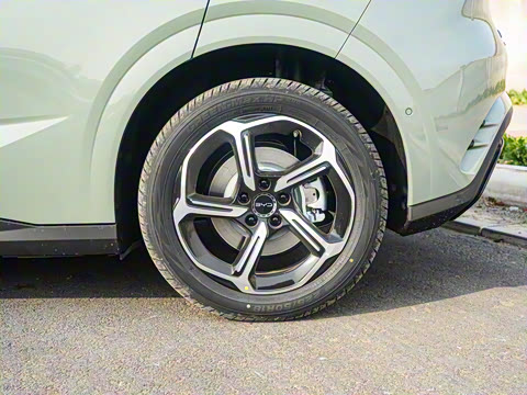 2025�� �Ǽݰ� 505���˰�