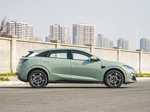 2025�� �Ǽݰ� 505���˰�