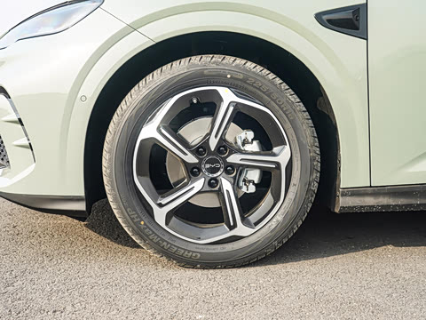 2025�� �Ǽݰ� 505���˰�