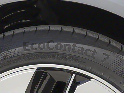 2025�� 636Max���Ȱ� 6��