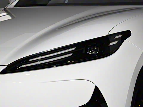 2025�� 520���а�