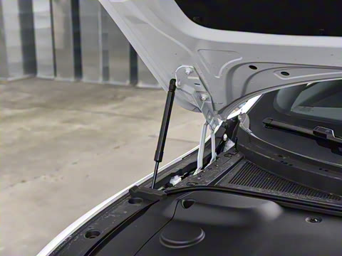 2025�� ��������� 525������