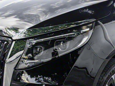 2025�� �������Ȱ�