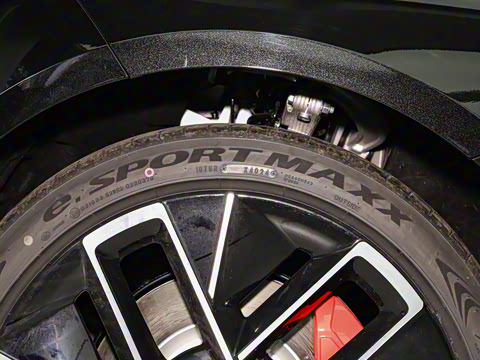 2025�� Max�����