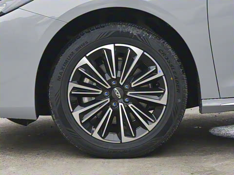 2024�� 127 Զ���� ������