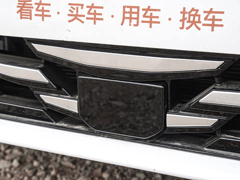 2025�� DM-i 1.5T 100km �캽��