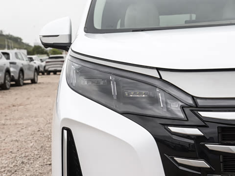 2025�� DM-i 1.5T 100km �캽��