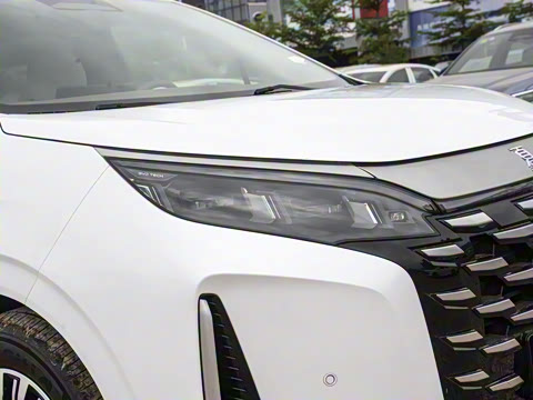 2025�� DM-i 1.5T 100km �캽��