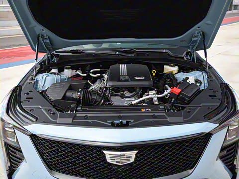 2025�� 28T �������ܰ�