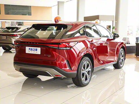 2025�� 300 ����������