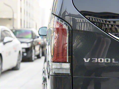 2024�� V 300 L ����������