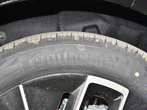 2025�� Max ���̰�