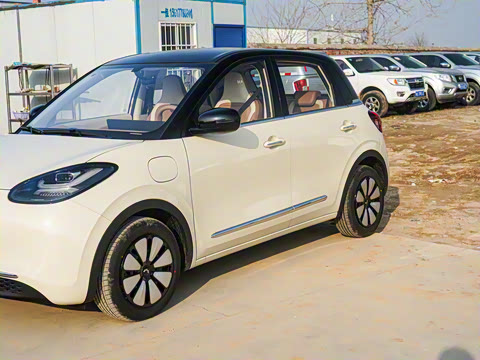 2025�� 333km ��Ϭ������